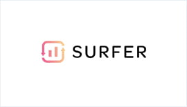 Partner Surfer